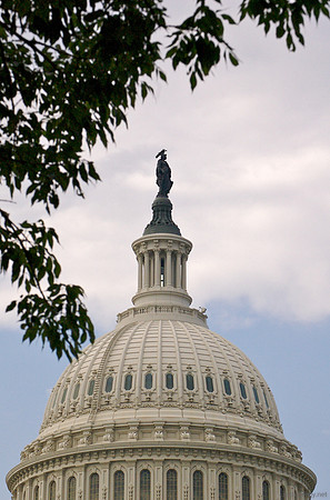 U. S. Capitol
