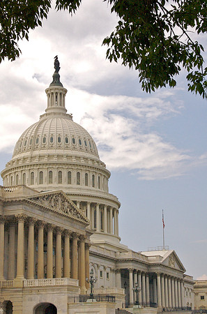 U. S. Capitol