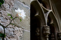 Monastery Cloister and Church, Bad Wimpfen, Germany